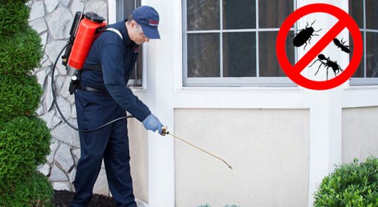 Gölpazarı Gümüşkurt İlaçlama böcek ilaçlama ve haşere kontrolü — ilaclama-tr.com